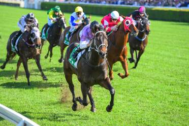 Watch the racing on the big screen