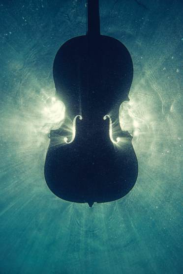 A violin under water hiding the sun