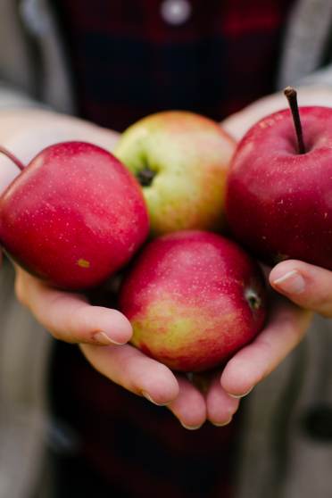 Apples as a superfood for gut health