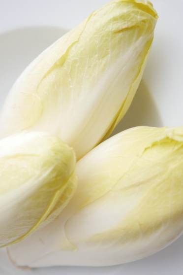 Chicory superfood for gut health