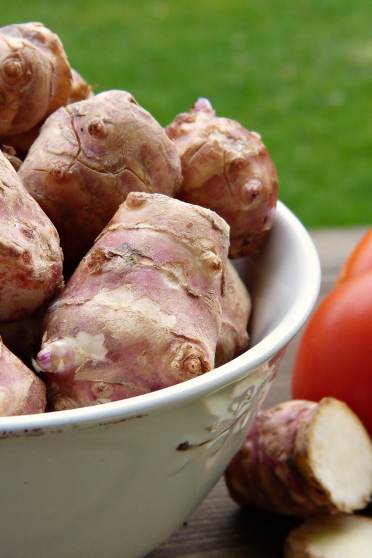 Jerusalem artichokes for gut health and later life