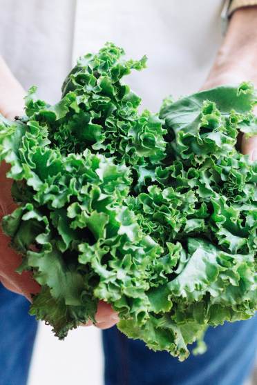 Kale superfood for gut health