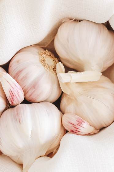 Garlic good for gut health