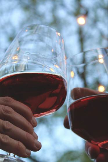 Red wine good for gut health