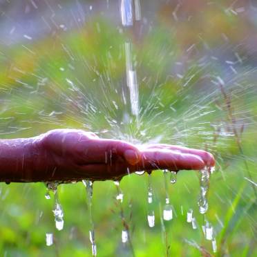 Water hose gardening