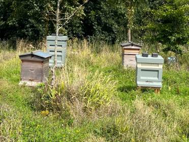 Bee hives at Audley Chalfont Dene