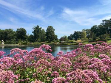 RHS Gardens Wisley, Surrey