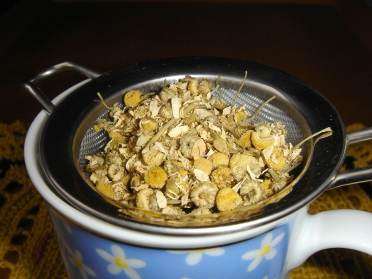 Dried chamomile flowers and a cup of chamomile tea