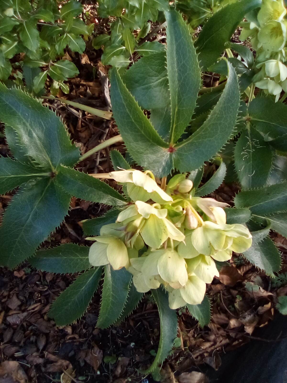 Spring has sprung | Audley Villages