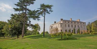 Manor house on green hill with pine trees