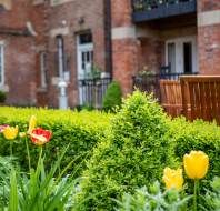 Red and yellow tulips in a red brick courtyard
