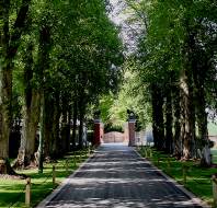 Shaded tree-lined driveway