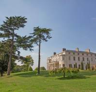 Manor house on green hill with pine trees