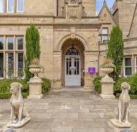 Stone dog statues at grand entrance