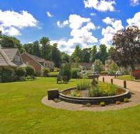 Lawn with water feature