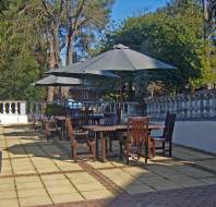 Terrace with parasols and potted trees