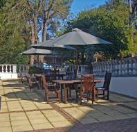 Terrace with parasols and potted trees