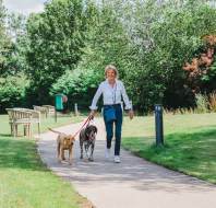 Owner walking her dogs in a retirement village