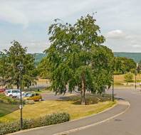 View over grounds to hills beyond