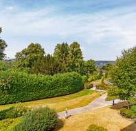 Landscaped grounds with trees