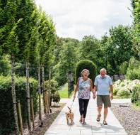 A senior couple with a dog on a leash walking in the gardens on a summer day