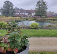 Chalfont Dene lake view in Autumn