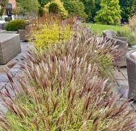 Landscaping and terrace at Stanbridge Earls retirement village