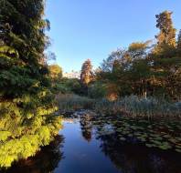 An Autumnal lake view at Sunningdale Park