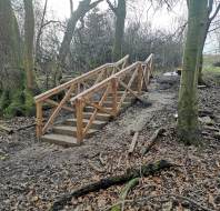 Woodland walk at Wycliffe Park