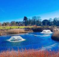 Springtime at Audley Chalfont Dene, shared by Akshay