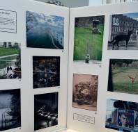 Magna Carta Park Photography Group Exhibition May 2024