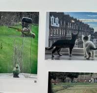 Magna Carta Park Photography Group Exhibition May 2024