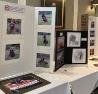 Magna Carta Park Photography Group Exhibition May 2024