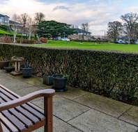 A wooden bench on a stone patio overlooks a neatly trimmed hedge, with a grassy area and parked cars in the background. Overcast sky and buildings visible in the distance.