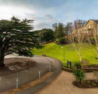 A paved path curves around a large tree on a landscaped area with trimmed grass and bare trees, adjacent to a row of modern buildings under a cloudy sky.