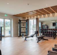 Bright gym with wooden flooring, exercise equipment like a rowing machine, dumbbells, pull-up station, and mirrors. Large windows offer ample natural light.