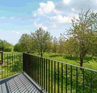 View from a balcony with black metal railing overlooking a grassy area with several leafy trees under a partly cloudy sky.