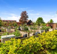 Allotments 