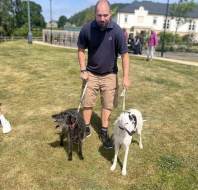 A man stands on grass holding leashes of two dogs, one black and one white, on a sunny day in a park with people and buildings in the background.