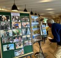 An older man looks at a board displaying movie stills for a "Guess & Match Movies" game in a well-lit indoor space with wooden floors and modern decor.