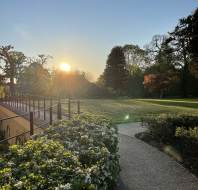 A paved path curves through a garden with white flowers and green grass, leading toward trees under a clear sky as the sun sets.