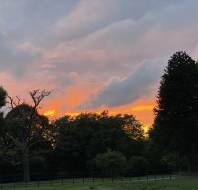 Golden hour at Audley Mote House, as captured by team member Bibiana Taylor