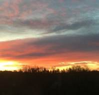 Golden hour at Mayfield Watford