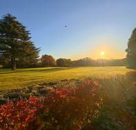 Golden hour at Audley Scarcroft Park, as captured by team member Emma Longfellow