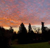Golden hour at Audley Sunningdale Park, as captured by team member Jess Reim