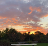 Golden hour at Mayfield Watford