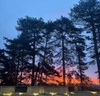 Tall pine trees stand against a sunset sky with vibrant orange and pink hues, overlooking a paved terrace with built-in lights along the edge.