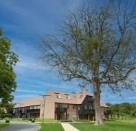 A large leafless tree stands in front of a modern brick apartment building with a well-maintained lawn under a clear blue sky.