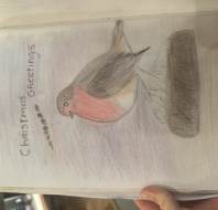 Christmas card competition entry - Miriam B Audley Fairmile Christmas card competition entry - Miriam B Audley Fairmile