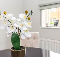 A white orchid in a gold pot sits on a glass table in a bright room with a beige chair, radiator, window, and framed photos on the sill.